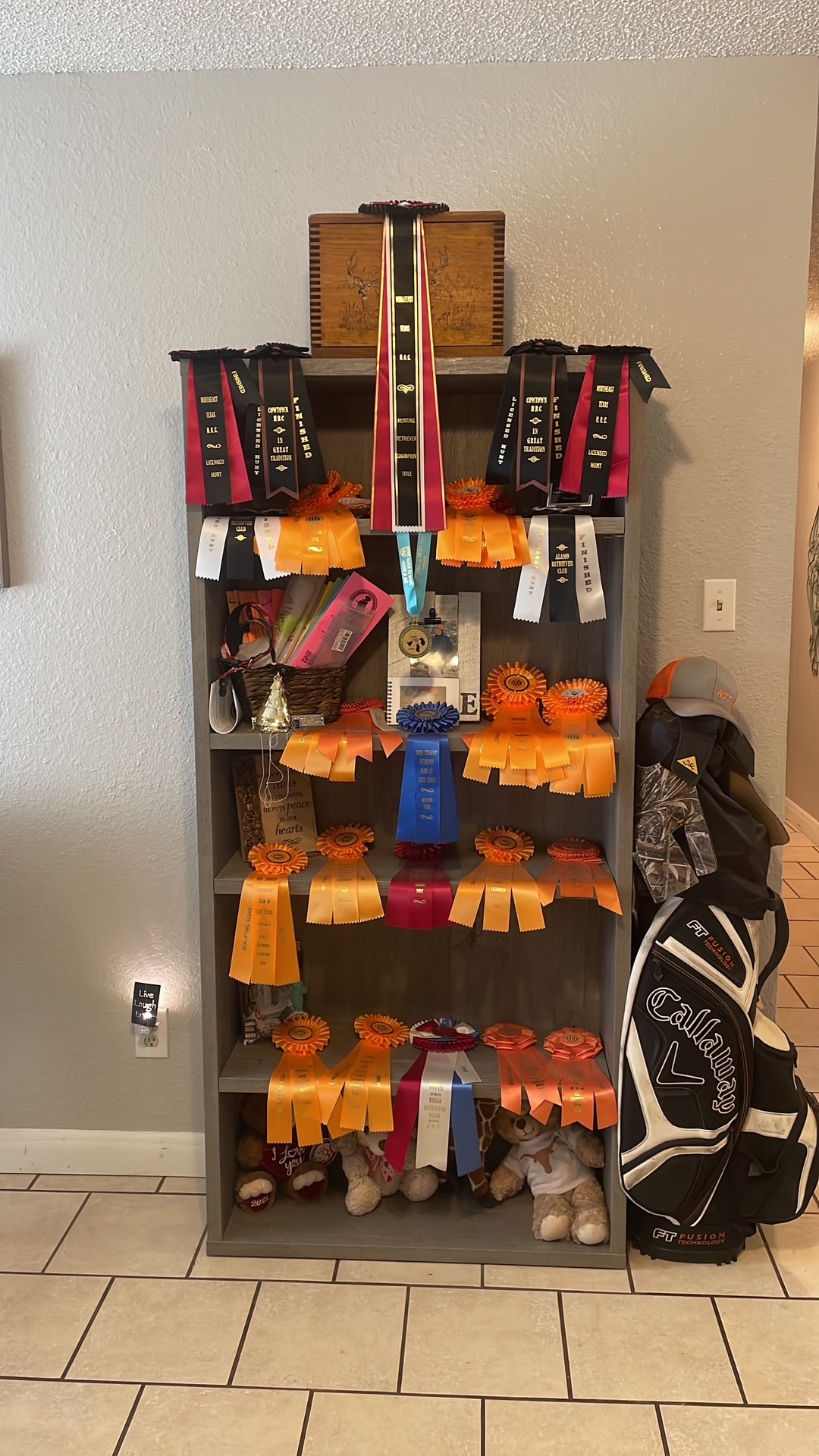 Shelf full of hunt test ribbons and titles