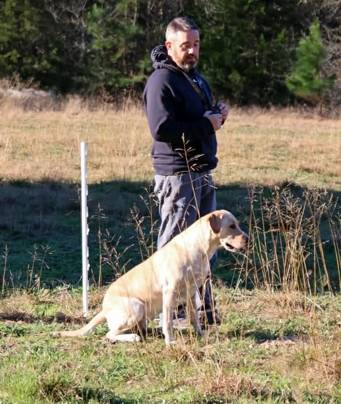 Trainer with yellow Labrador steady at heel in field