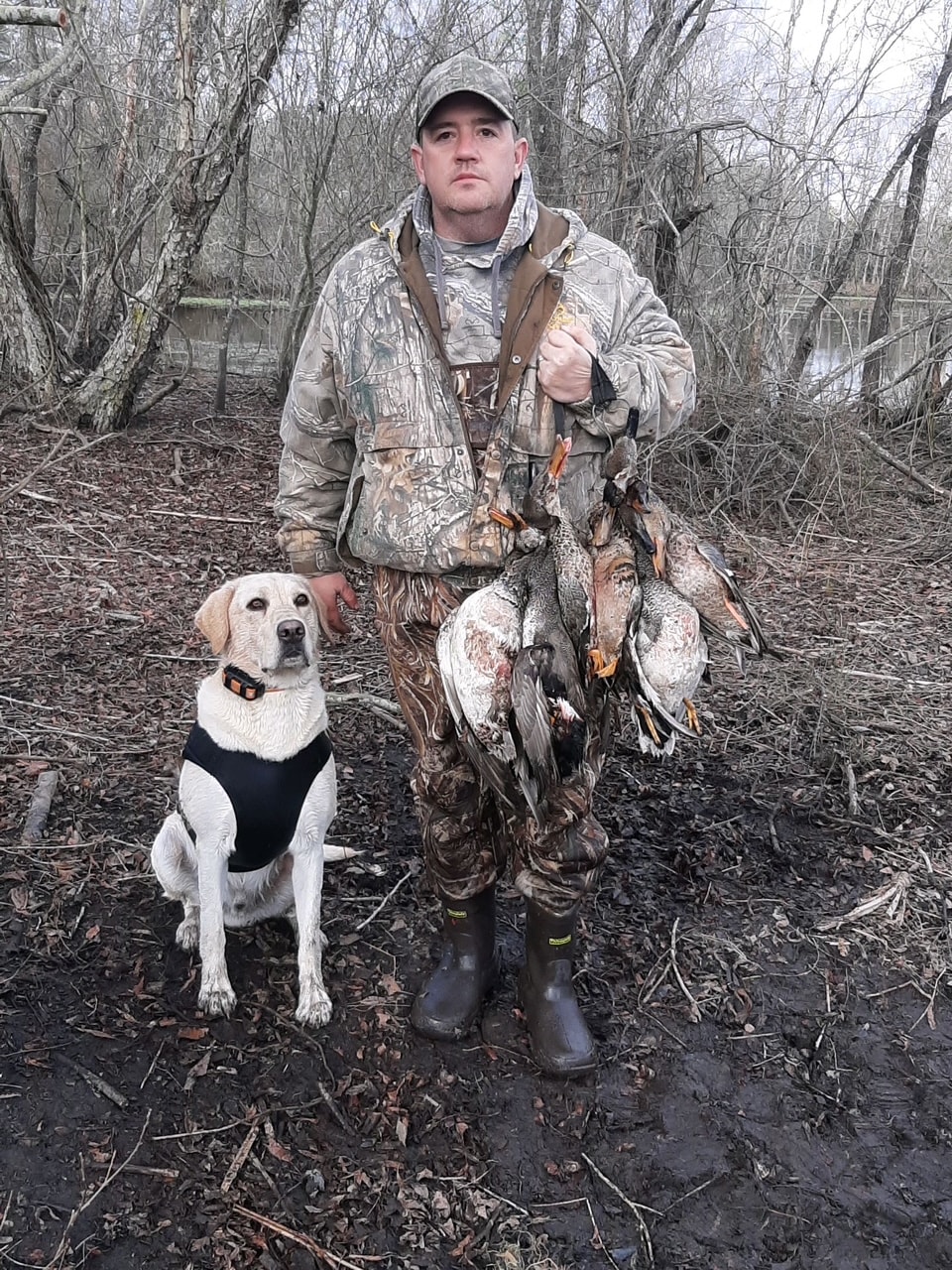 Hunter with yellow Labrador and duck harvest