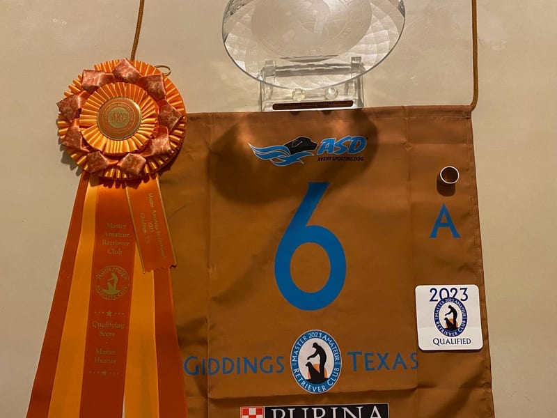 AKC Master Amateur Retriever Club ribbon and trophy